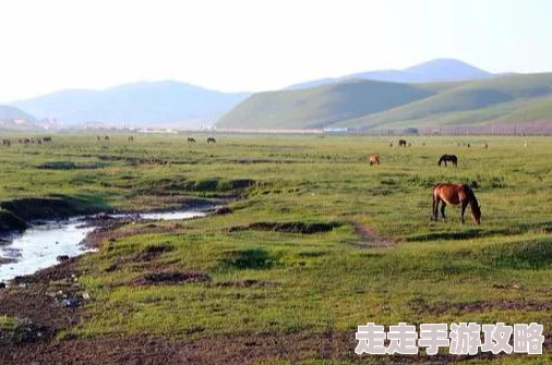 青草影视为什么拥有强大的搜索功能快速找到想看的影片