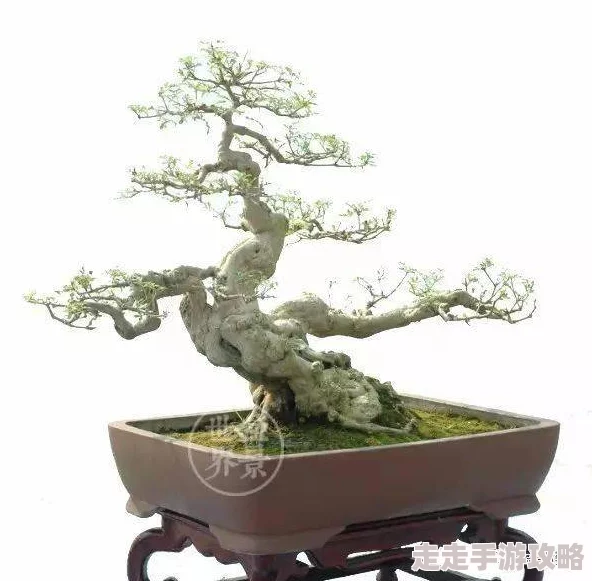 黄网站网址进人口为什么拥有互动社区和交流平台为何人气高涨 黄网站网址进人口为什么拥有互动社区和交流平台为何人气高涨