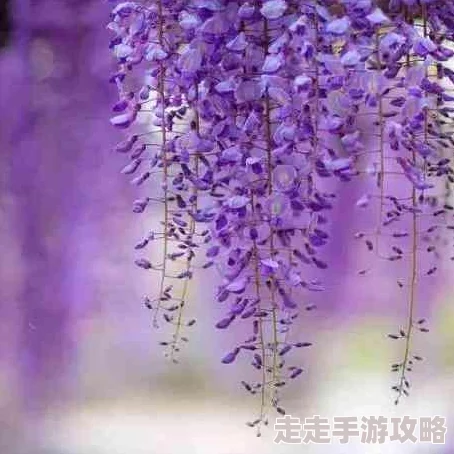 女性脱 给我揉 游戏为什么提供虚拟的权力体验因此吸引特定群体