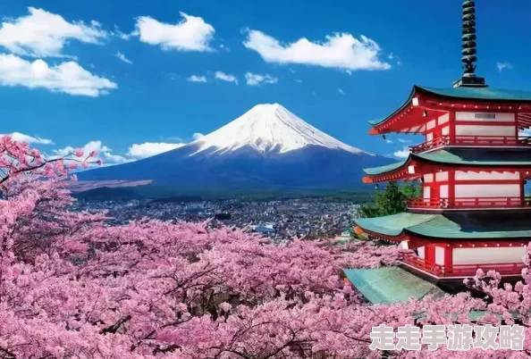 日本樱花节18为什么如此浪漫迷人因为它让游客可以欣赏美丽的樱花感受浓厚的日本文化