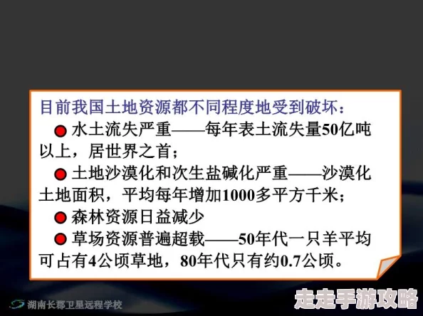 大地资源二中文在线官网为什么资源全面分类清晰为何备受欢迎 大地资源二中文在线官网为什么资源全面分类清晰为何备受欢迎