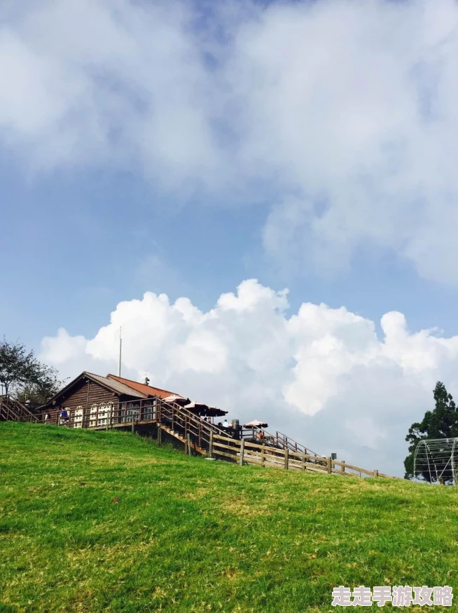 青青草原亚洲为何拥有众多美食让人们流连忘返回味无穷 青青草原亚洲为何拥有众多美食让人们流连忘返回味无穷