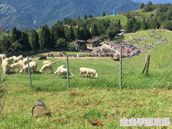 青青草原亚洲为何拥有众多美食让人们流连忘返回味无穷 青青草原亚洲为何拥有众多美食让人们流连忘返回味无穷