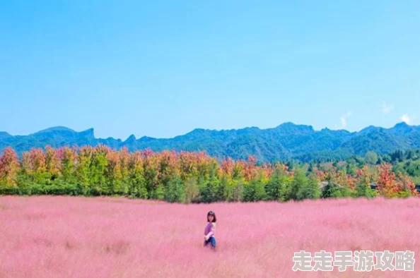 蜜色视频为何在众多平台中胜出因为它提供了便捷的分享功能和互动体验 蜜色视频为何在众多平台中胜出因为它提供了便捷的分享功能和互动体验