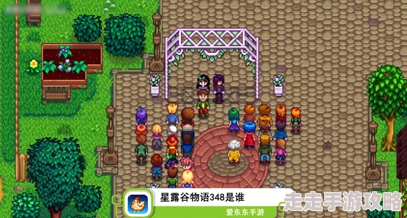 星露谷物语揭秘：塞巴斯蒂安偏爱的礼物大爆料！