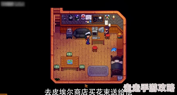 星露谷物语揭秘：塞巴斯蒂安偏爱的礼物大爆料！