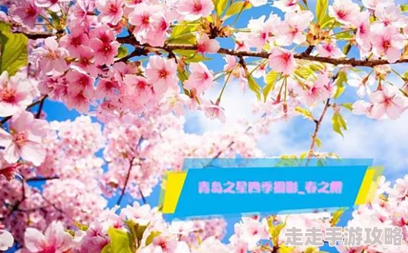 2024光遇花之日樱花斗篷兑换攻略:揭秘复刻时间与获取爆料 2024光遇花之日樱花斗篷兑换攻略:揭秘复刻时间与获取爆料