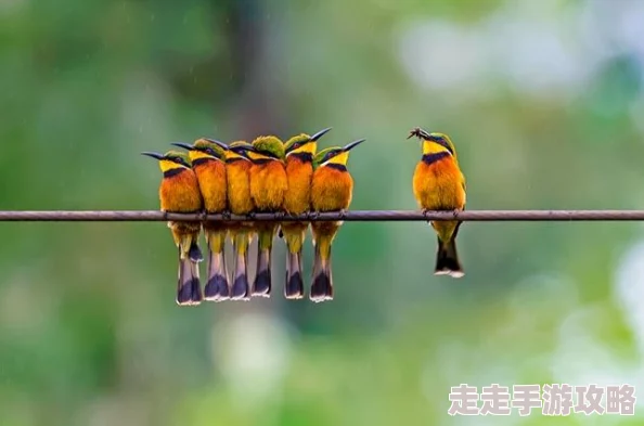 天天日日为什么它经久不衰因为它代表了人们对美好未来的憧憬 天天日日为什么它经久不衰因为它代表了人们对美好未来的憧憬