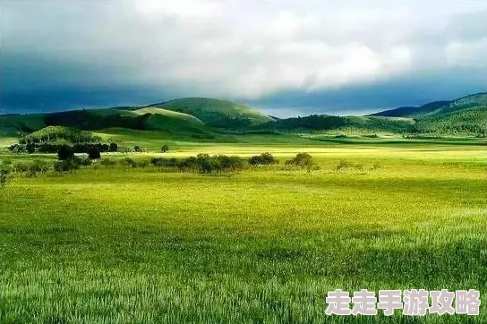 青青草原影院为何如此火爆多终端支持和高清画质带来极致享受