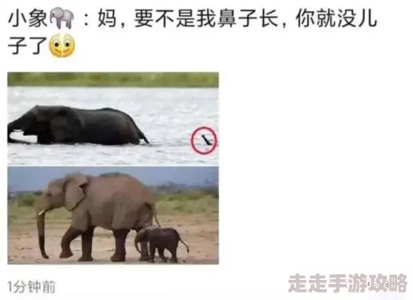脫衣舞一区二区三区为什么如此吸引人为何它能带来感官刺激