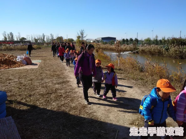 天天农场全新爆料：打造梦幻庄园的建筑设计与摆放攻略