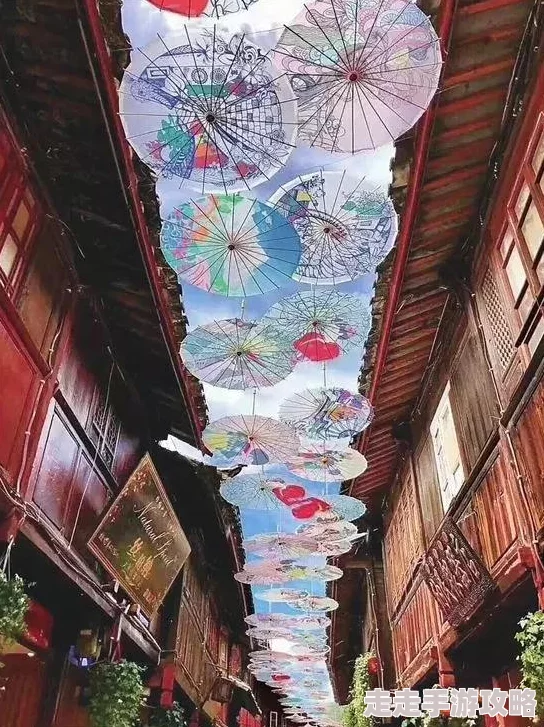 天天农场全新爆料：打造梦幻庄园的建筑设计与摆放攻略
