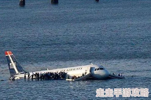 777奇米网为什么种类齐全应有尽有为何让人流连忘返