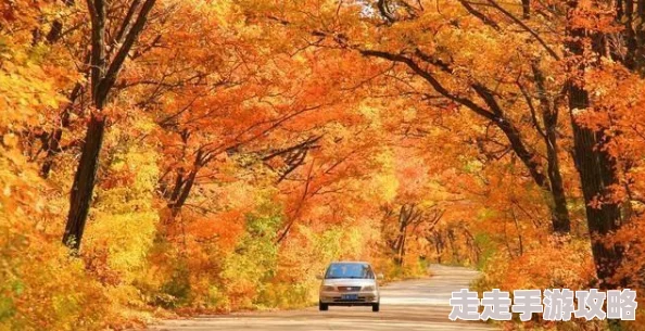 爆料：断崖式冷空气突袭，多地遭遇同期罕见低温，最高气温降幅超16℃震惊民众