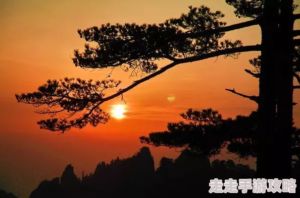 办公室我被他日出水了为什么他的体贴入微让人倍感温暖舒适安心