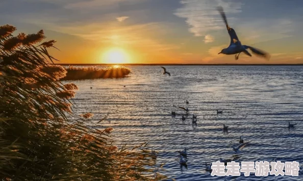 办公室我被他日出水了为什么他的体贴入微让人倍感温暖舒适安心