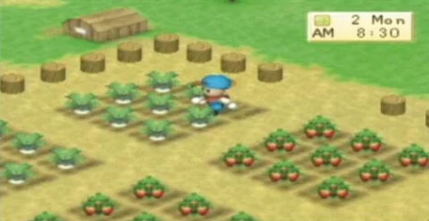 牧场物语男孩版GBA：揭秘高效聘请小矮人雇工全攻略