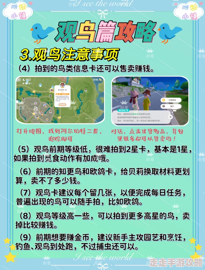 心动小镇观鸟秘境大揭秘：最佳观测点抢先看！