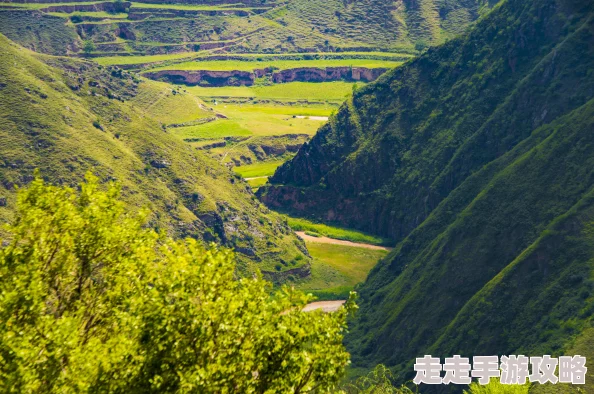 揭秘黑神话悟空葫芦升级地点与全面方法详解