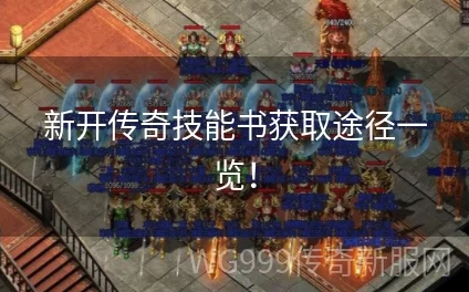 原始传奇技能书选择攻略：揭秘哪些技能书更值得入手