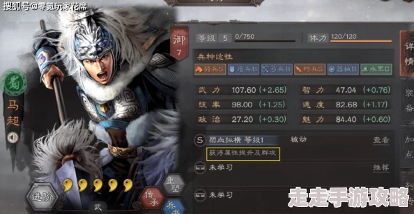 三国志战棋版马云禄阵容搭配及最新加强爆料