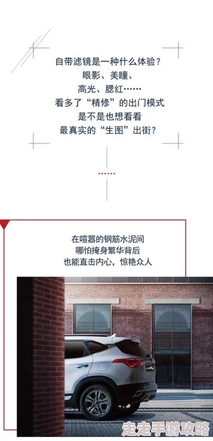 艾尔法登环哪个职业好打？全面爆料各职业优势！