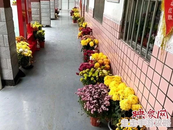 无尽冬日新服揭秘：开服30天后开启移民功能，独家爆料！