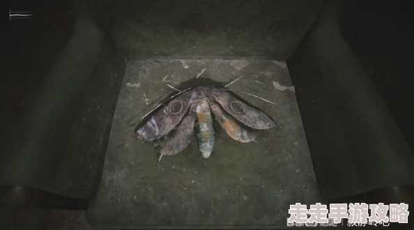 寂静岭2重制版蓝溪公寓全流程攻略:独家爆料隐藏关卡与谜题解析 寂静岭2重制版蓝溪公寓全流程攻略:独家爆料隐藏关卡与谜题解析