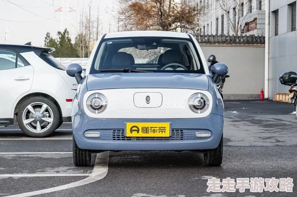 玩家深情怀念未DEI化老黑猫，灵魂发文揭秘游戏变革内幕