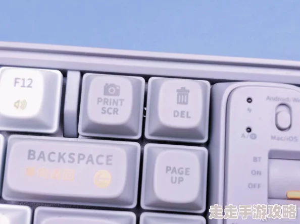 艾尔登法环爆料：B键在手柄中对应键盘的空格键操作