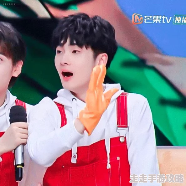 《天王》游戏通关秘籍全曝光，终极爆料助你登顶天王宝座