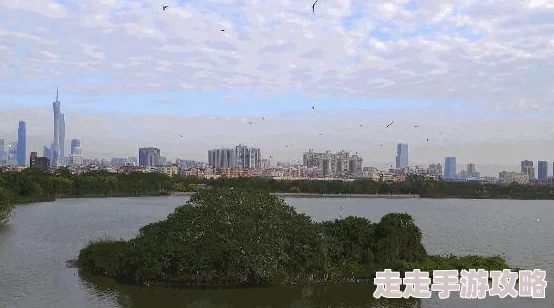 桃源深处有人家:鸟类辨认方法与技巧全揭秘及图解爆料 桃源深处有人家:鸟类辨认方法与技巧全揭秘及图解爆料