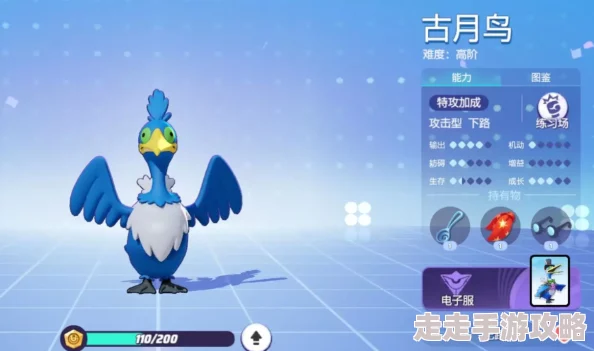 宝可梦大集结：古月鸟全技能爆料与详细介绍解析