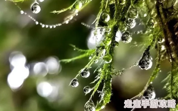 2024年度必玩！单机科幻射击游戏大爆料&高人气手游合集