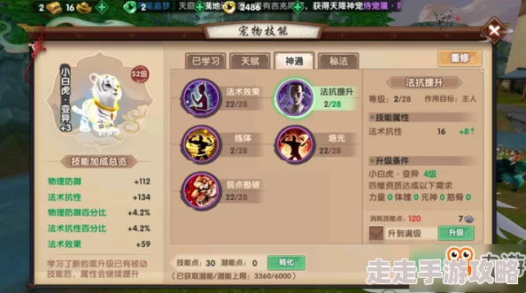 封神幻想世界手游宝宝图鉴大揭秘：全新宠物爆料与养成攻略来袭！