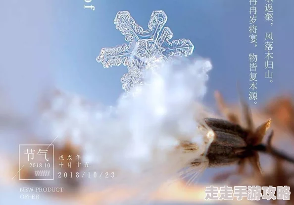 桃源深处有人家·霜降节气盛启：一夜霜寒，惊喜活动大爆料！