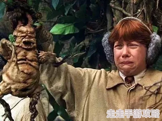 霍格沃茨之遗全揭秘：曼德拉草获取途径及隐藏爆料大全