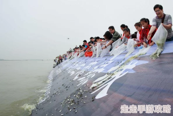 光遇绿树成荫时活动规则大揭秘：玩法攻略与最新爆料信息汇总