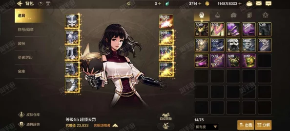 DNF手游圣骑士全方位附魔建议及爆料解析