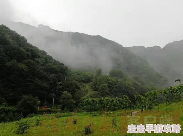 文明6爆料：解锁保护区新科技，揭秘关键研发路径