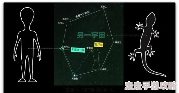 啊啊啊嗯嗯嗯人类早期语言的拟声词起源探索与发声结构分析