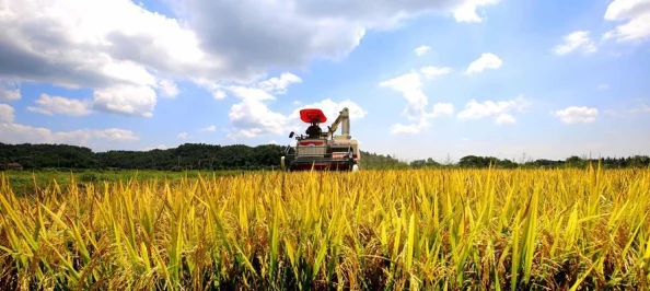 乌克兰黄色片2025农业丰收纪录片展现乡村新面貌