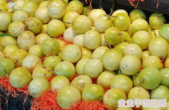 缅甸一级特色黄一片2025全新升级版惊艳亮相引领黄金消费新潮流
