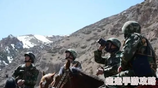 高山上的花环致敬边防战士戍卫祖国山河
