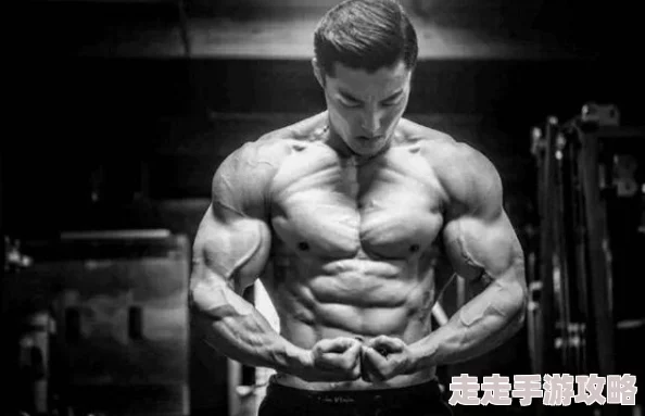 欧美同志猛男videoes2025健体猛男训练营火热上线