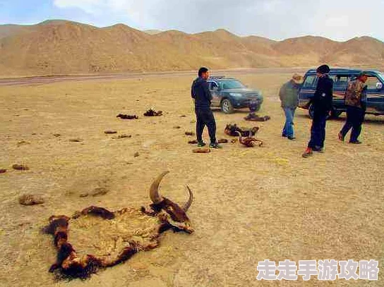 日本无人区码卡1据说有神秘爱好者定期前往探索发现奇异磁场现象
