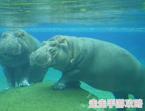 ＊引发读者好奇：例如，可以添加“你不知道的”、“震惊”、“颠覆认知”等。
