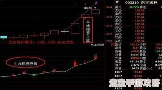 雷电将军被旅行者压榨提瓦特七国共享经济试点开启