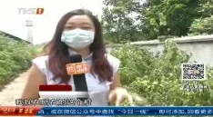 吴梦梦拍AV不戴套完整版泄露高清无码资源流出