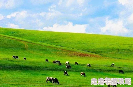 爆料!《文明6》玩家热议:平原与草原,哪个地理优势更胜一筹? 爆料!《文明6》玩家热议:平原与草原,哪个地理优势更胜一筹?